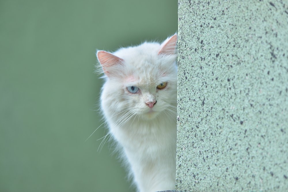 Photograph by Sandhi Satriagraha