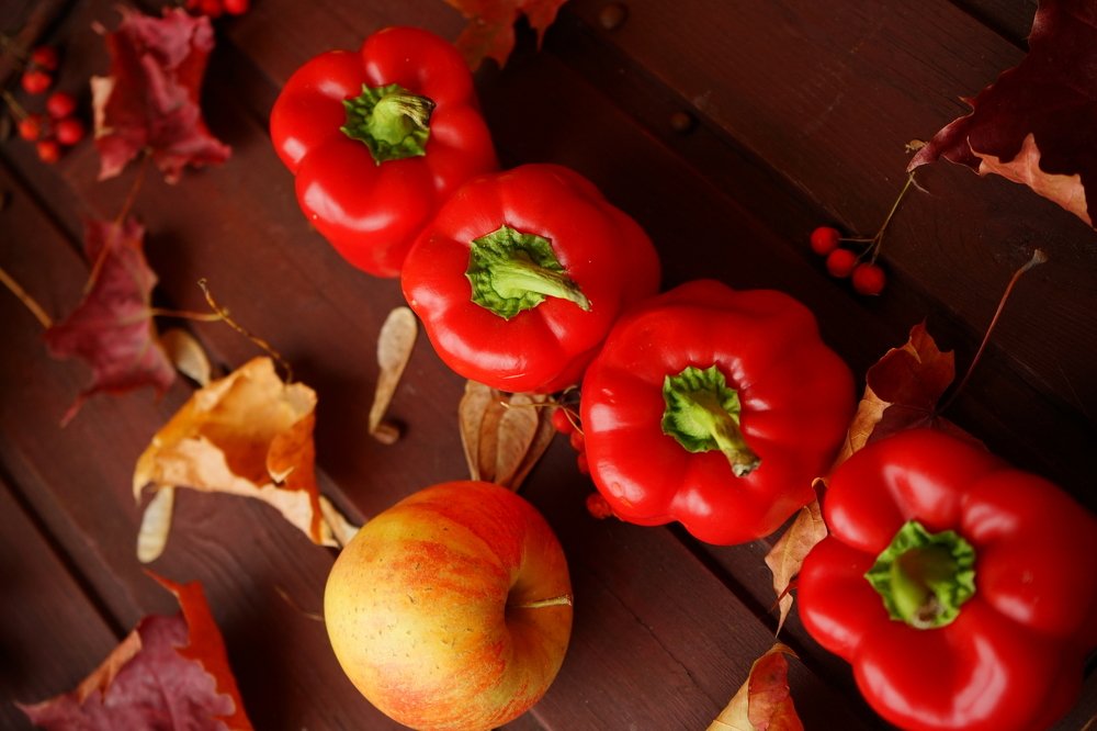 Photograph by Максим Двинин