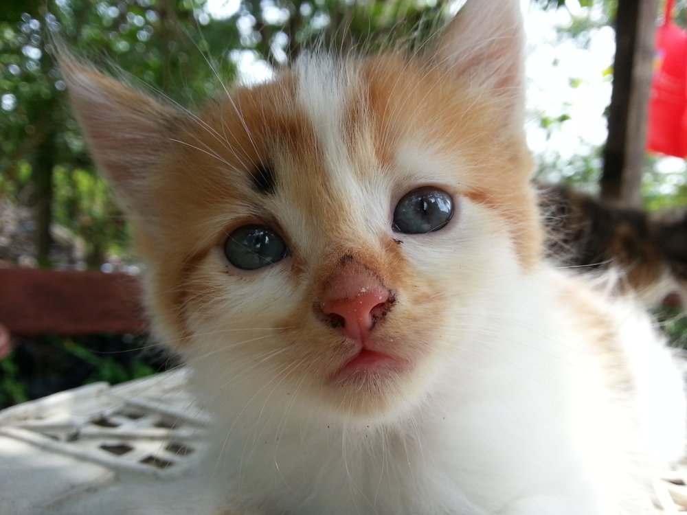 Photograph by Katibin Nurhajar