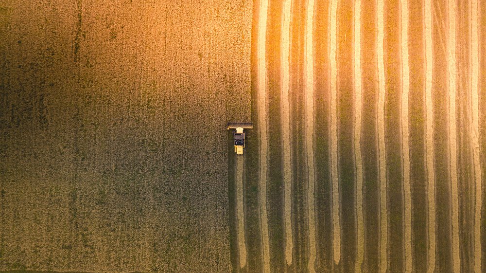 Уборка зерна в Брянской области, Россия. Combine harvester