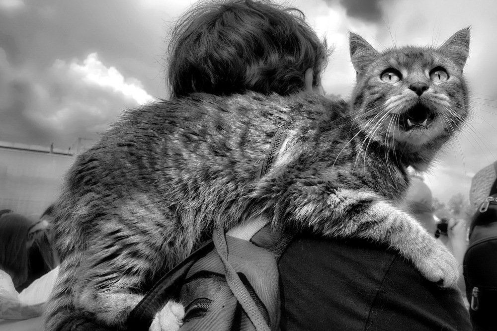 Photograph by Константин Водолазов