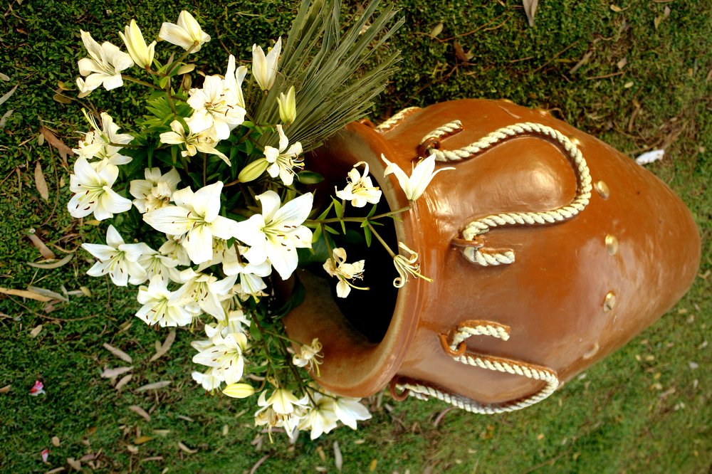 Photograph by علي الساعدي