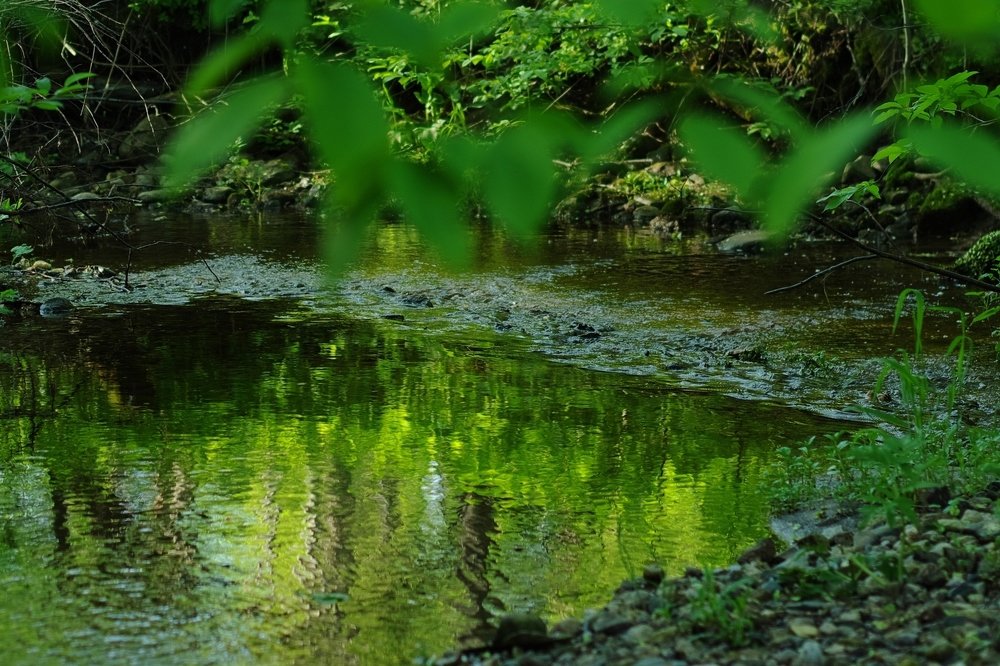 Photograph by Alexandr Bushmelev