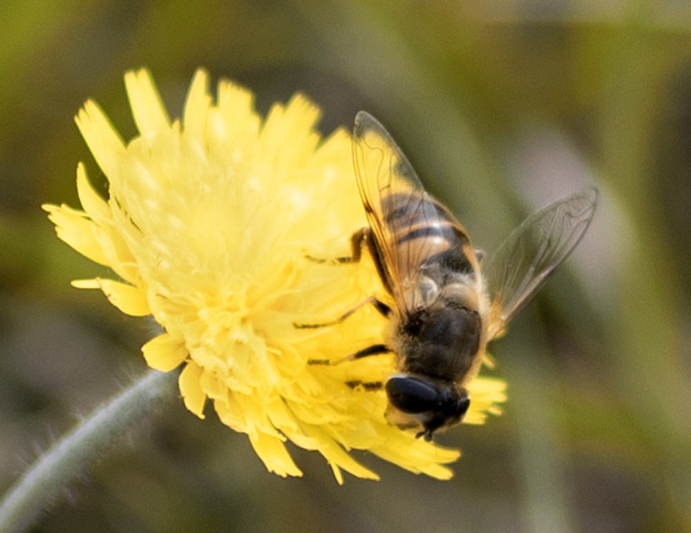Photograph by Наталья Шалкевич