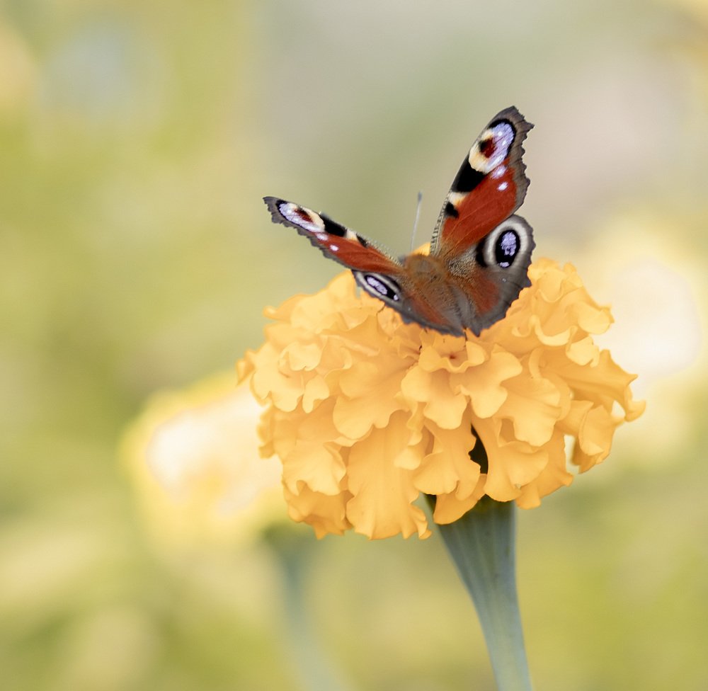 Photograph by Наталья Шалкевич