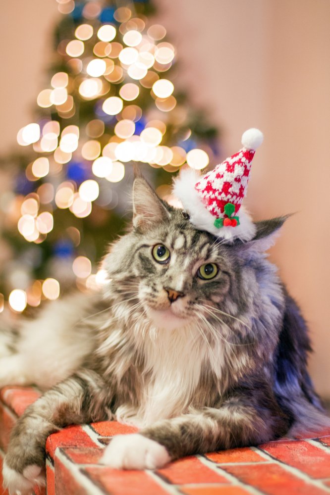 Фотография автора Александра Наливаева