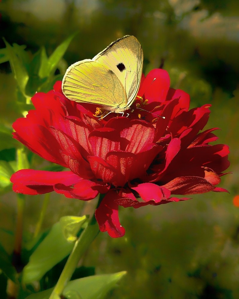 Photograph by  Лена