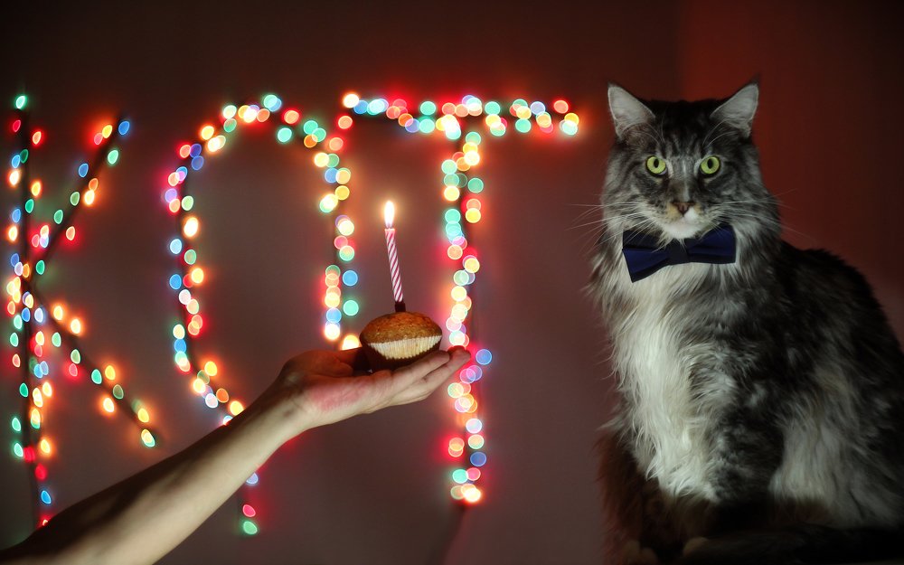 Фотография автора Александра Наливаева