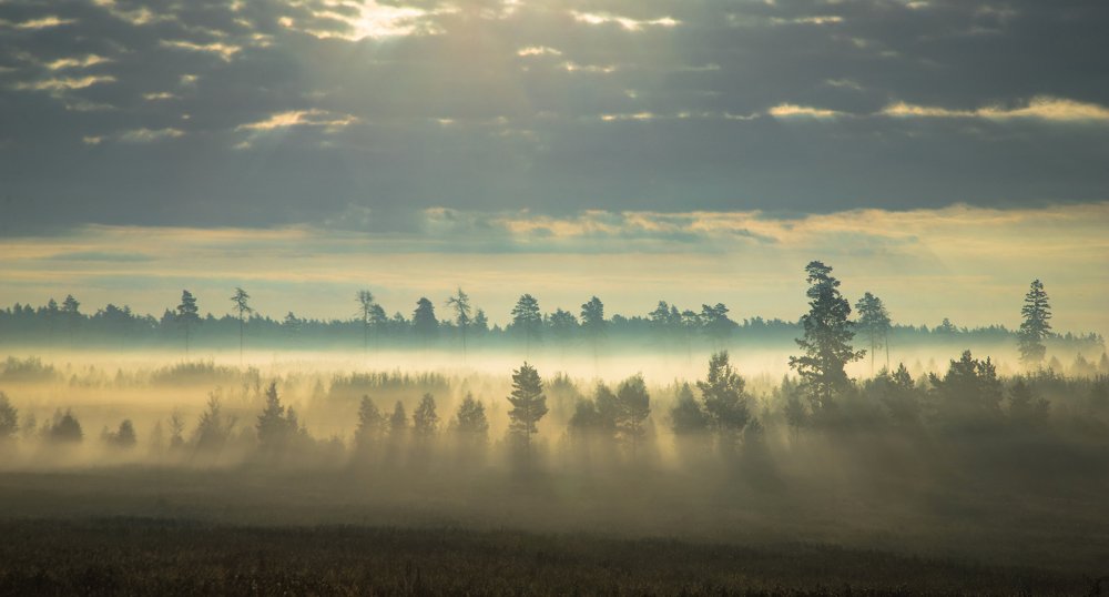 Photograph by Александр Есликов