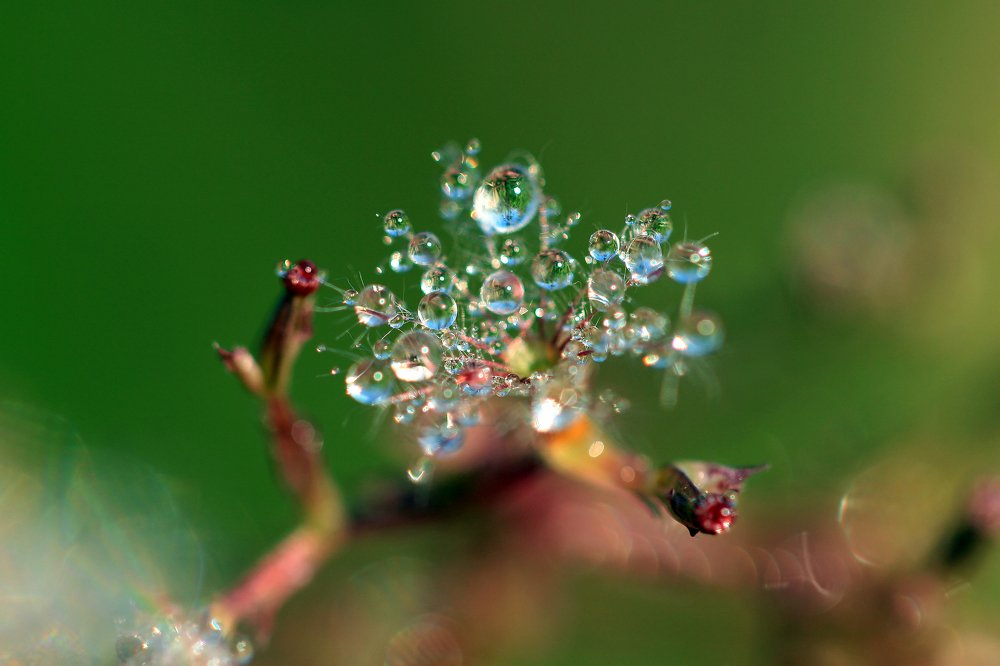 Photograph by Александр Цабель