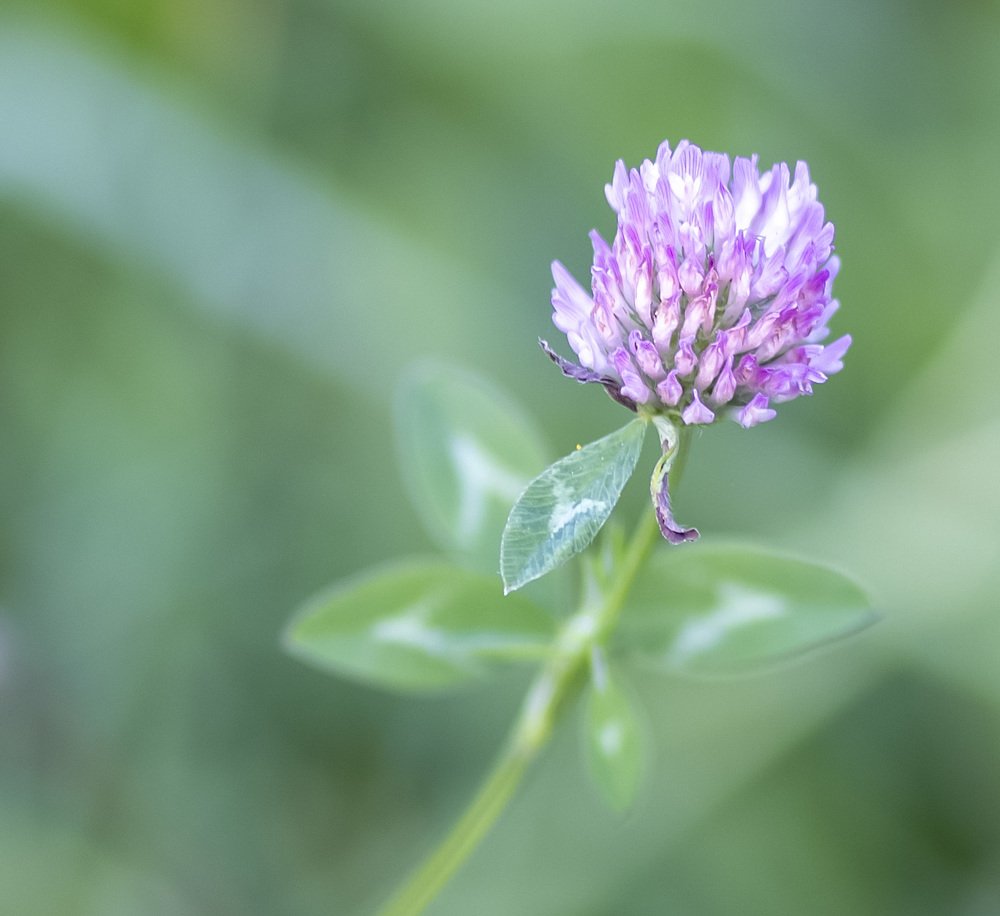 Photograph by Наталья Шалкевич