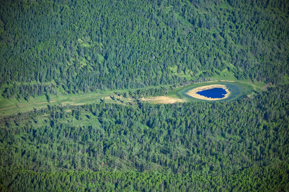 Photograph by Светлана Казина