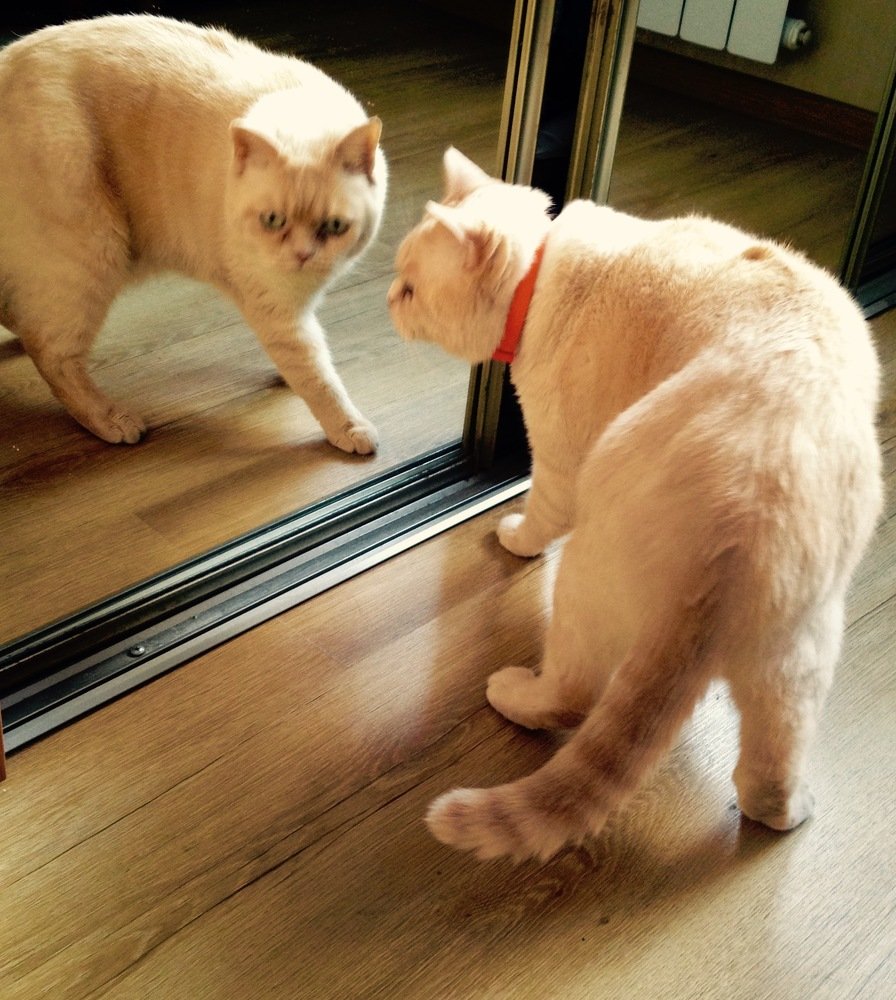 Photograph by Ольга Велитченко