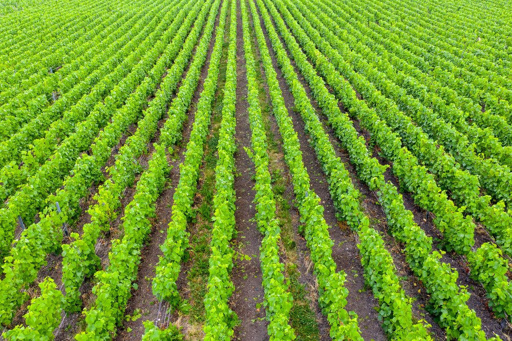 Photograph by Денис Семенов