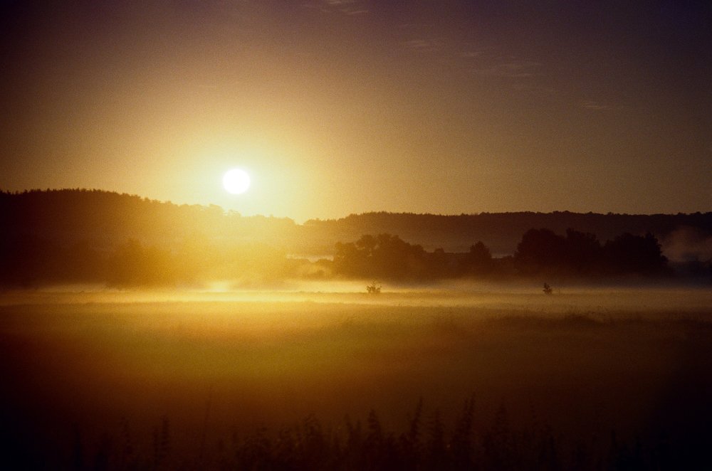 Разгоняя тьму