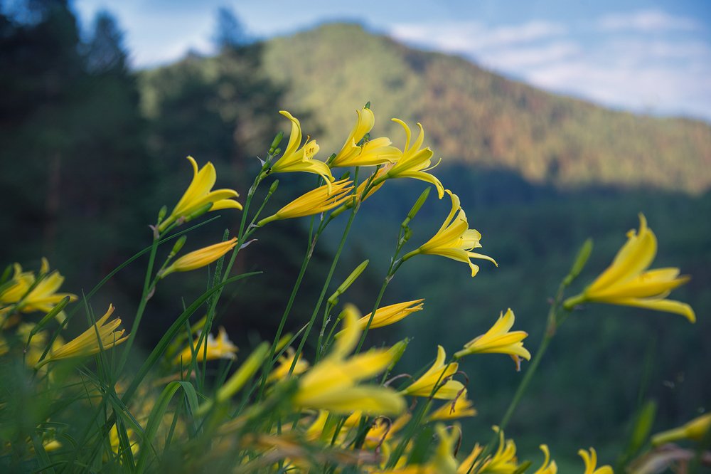 Photograph by Светлана Казина