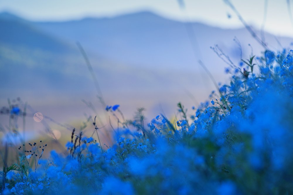 Photograph by Светлана Казина