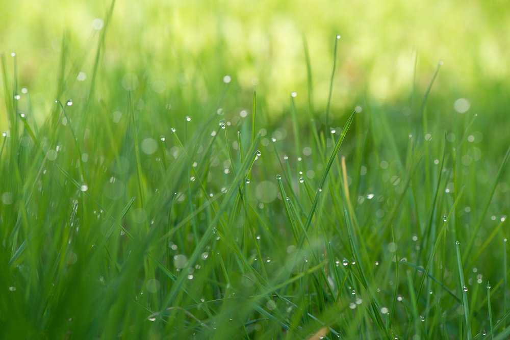 Photograph by Светлана Казина