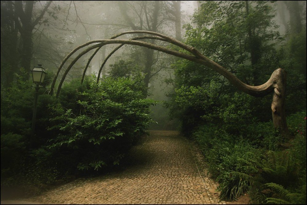 Сонная Лощина