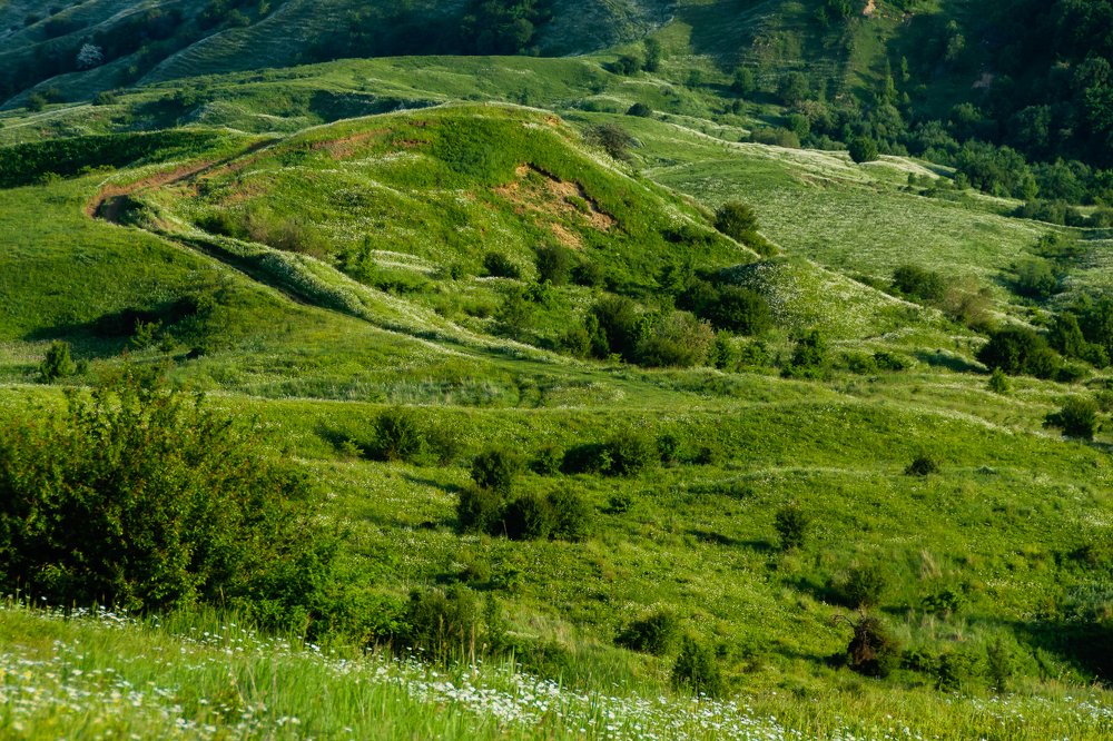 Фотография автора Андрей Симонов