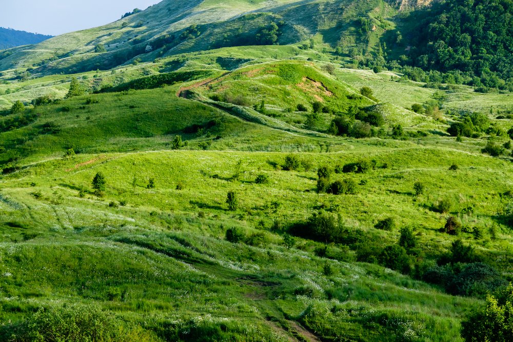 Фотография автора Андрей Симонов
