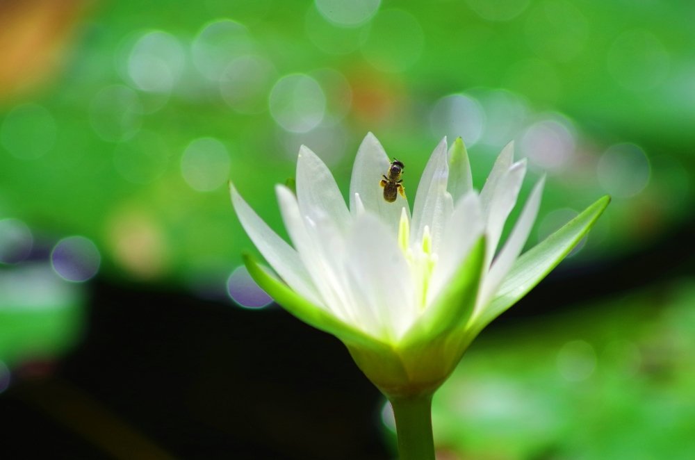 Фотография автора Darshan M. Trivedi