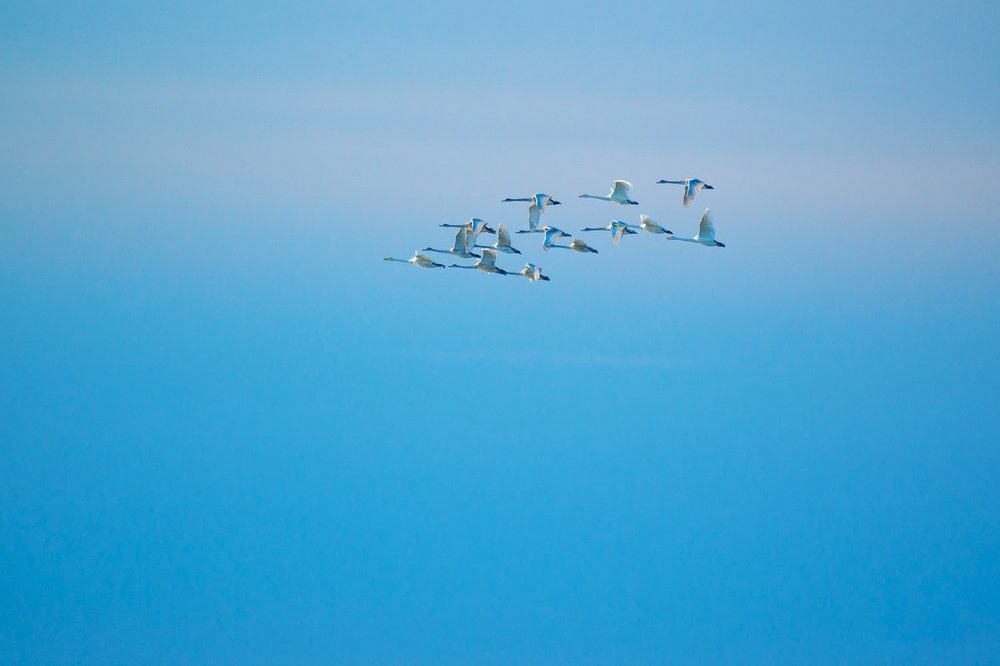 Photograph by Светлана Казина