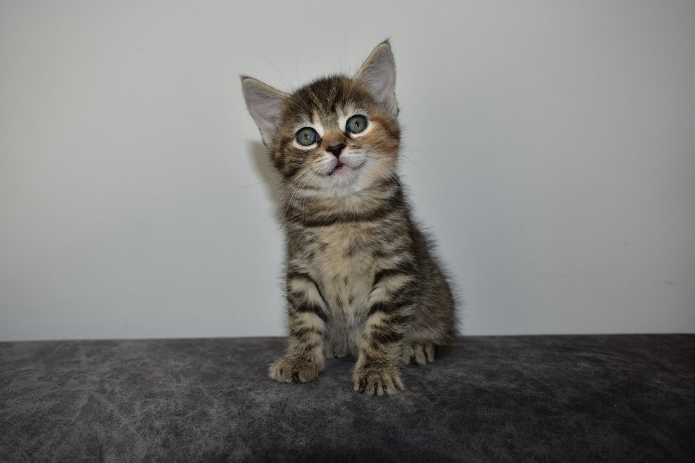 Photograph by Janusz Osika