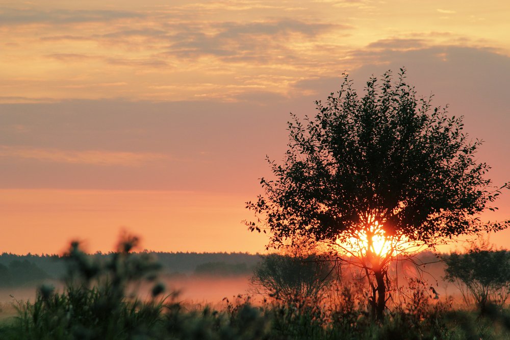 Photograph by Анастасия Сидоренко