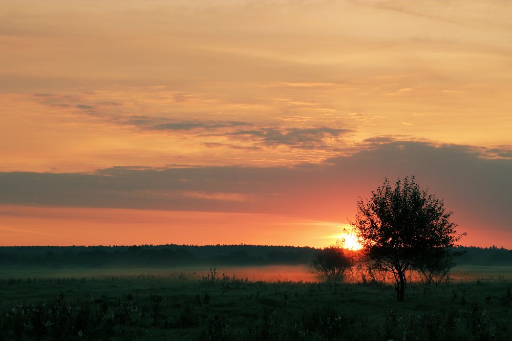 Photograph by Анастасия Сидоренко