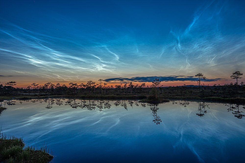 Noctilucent clouds