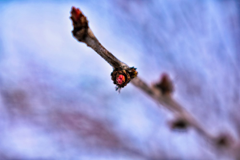 Photograph by Амир Гильмутдинов