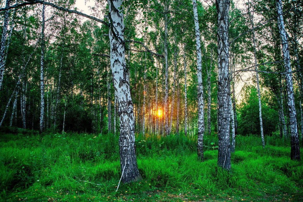 Photograph by Олег Русинович