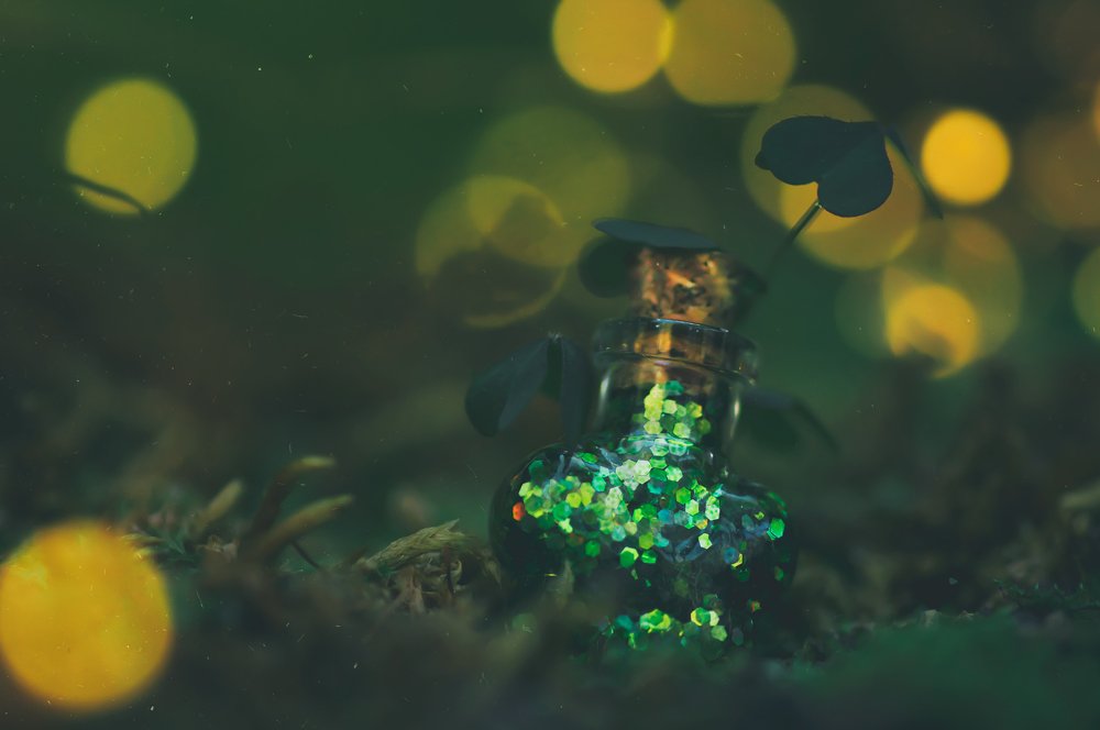 Photograph by Тараненко Анжелика