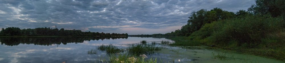 Photograph by Носкова Любовь