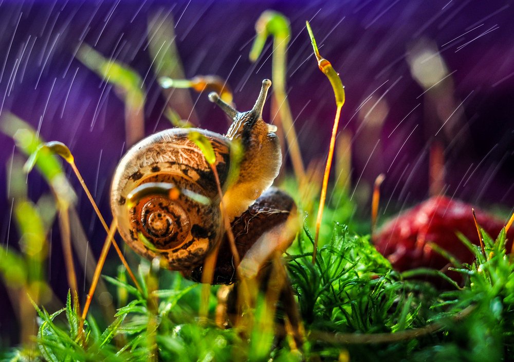 Photograph by Олеся zme