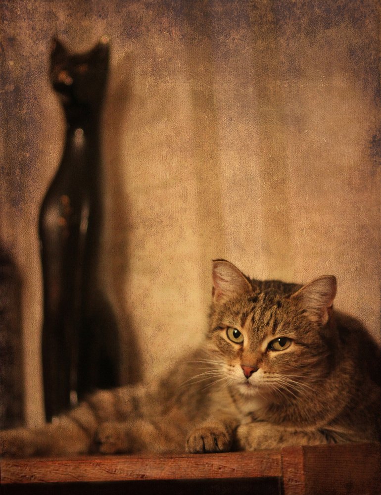 Photograph by Нина Кузьмина