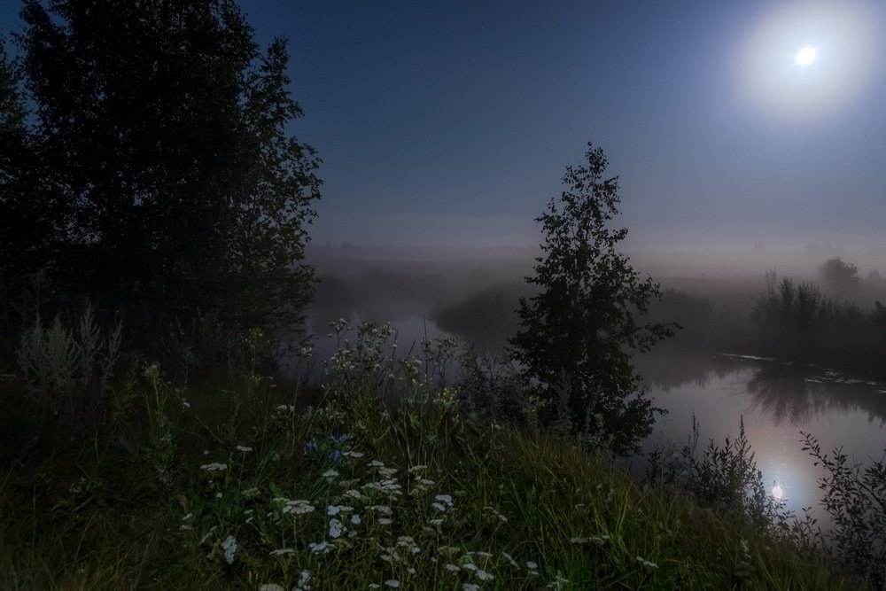 Туманной ночью у реки
