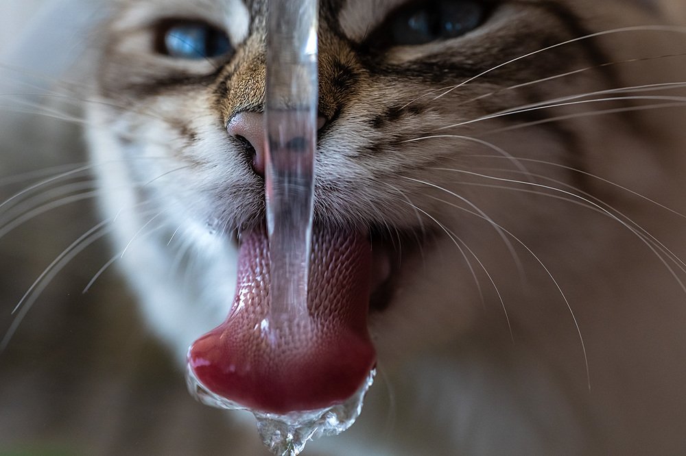 Photograph by Павел Жигалов