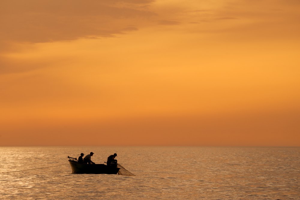 Фотография автора Анатолий Гордиенко
