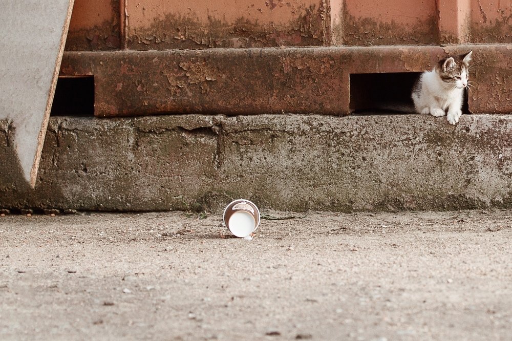 Photograph by Ольга Хоменкова