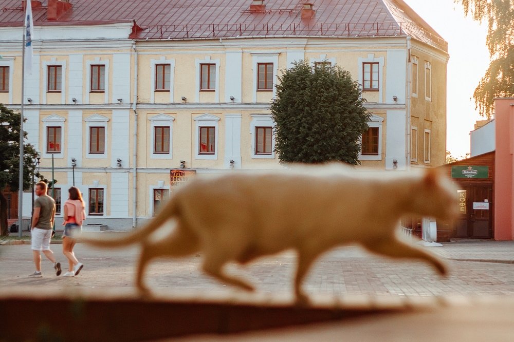 Photograph by Ольга Хоменкова