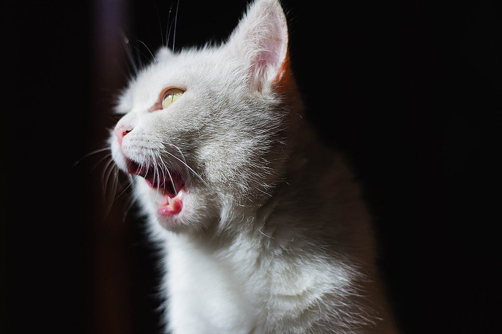 Photograph by Ольга Хоменкова