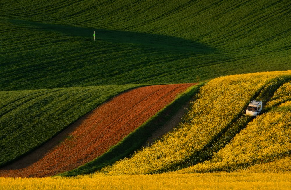 "Транзитом по полям"