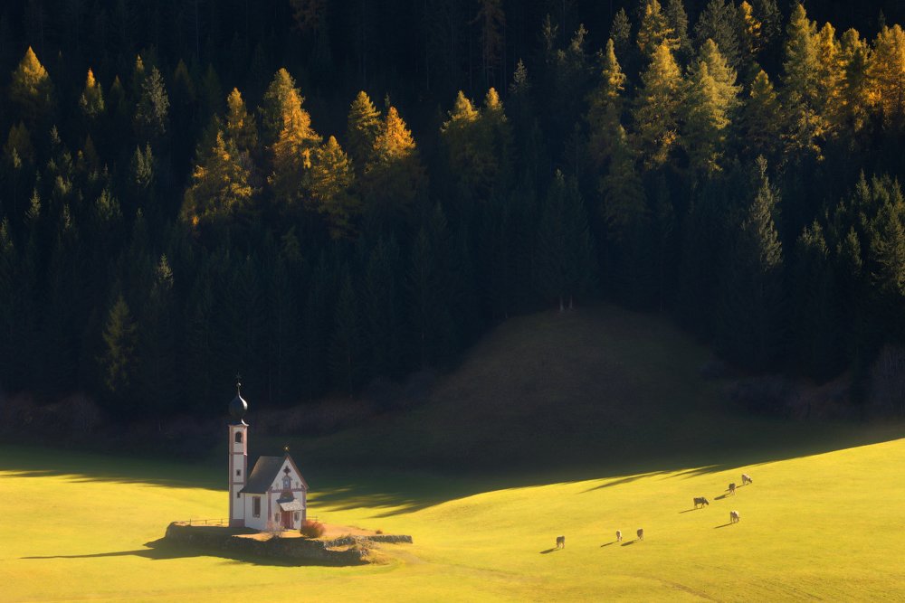 Фотография автора Анатолий Гордиенко