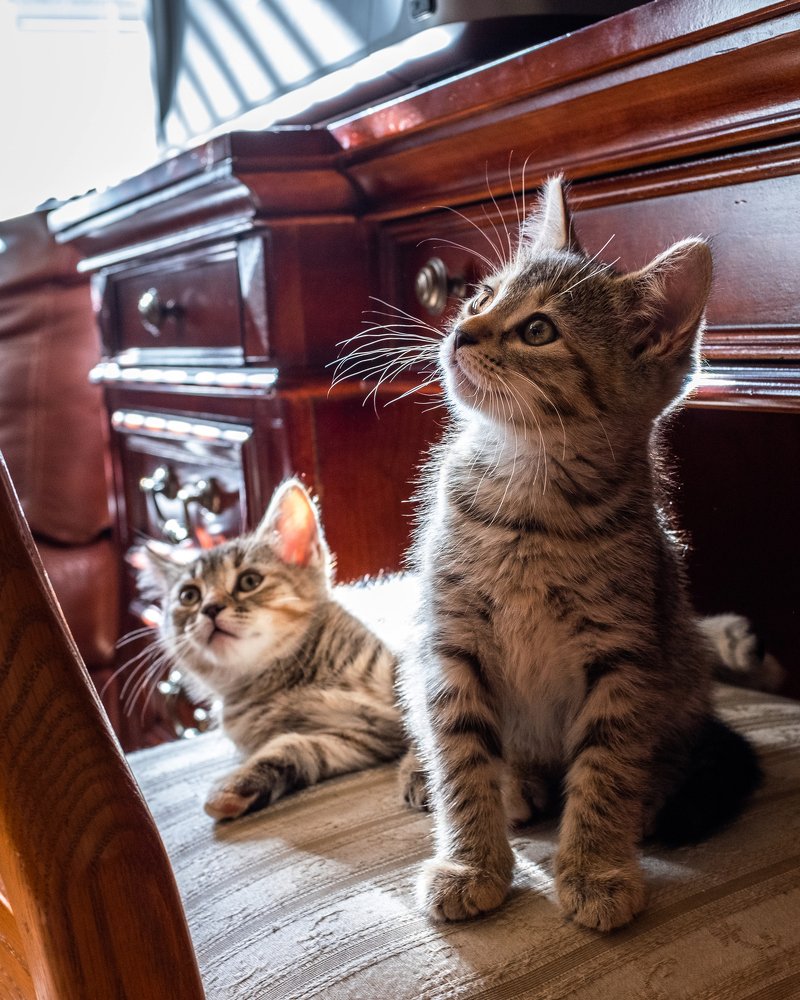 А что это вы там делаете?