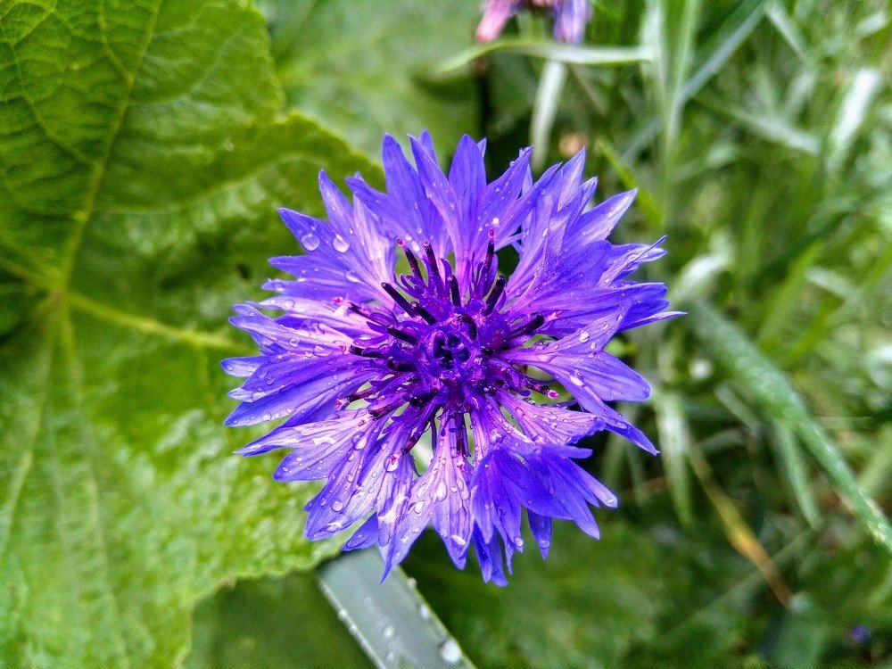 Photograph by Денис Лащ