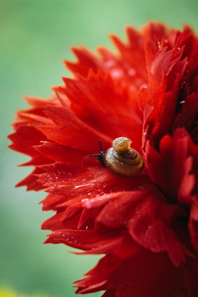 Photograph by Ольга Снадина