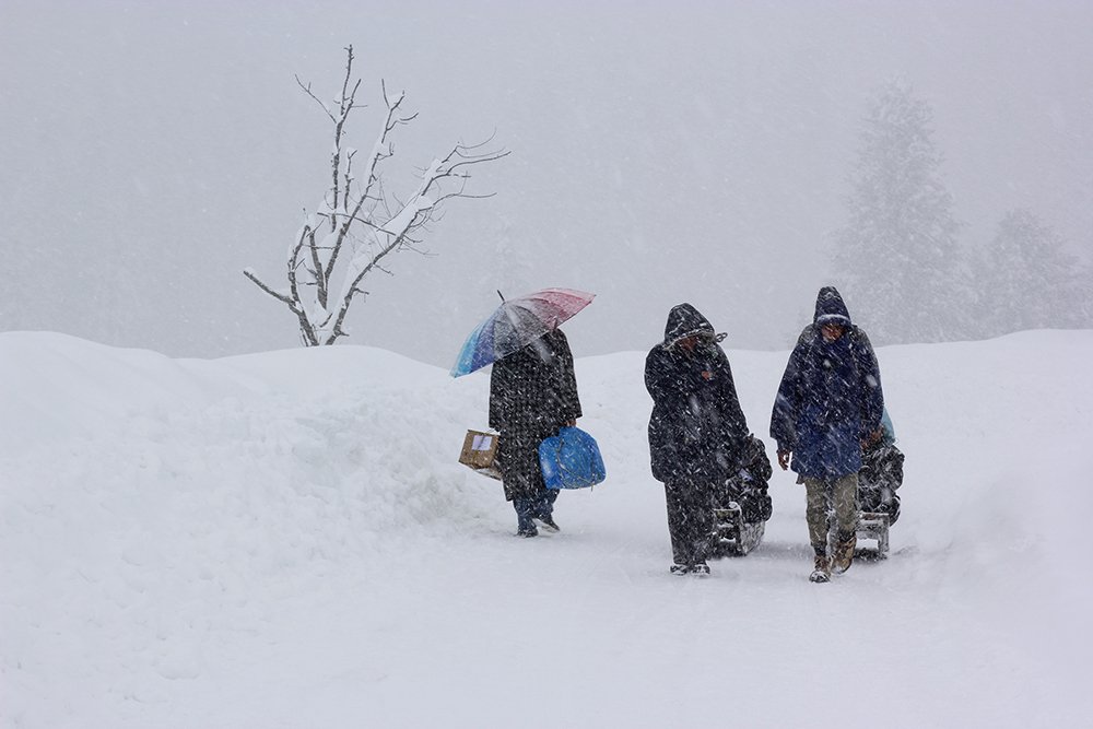 Photograph by Shafqat nabi