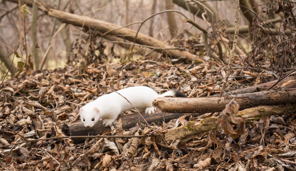 Photograph by александр